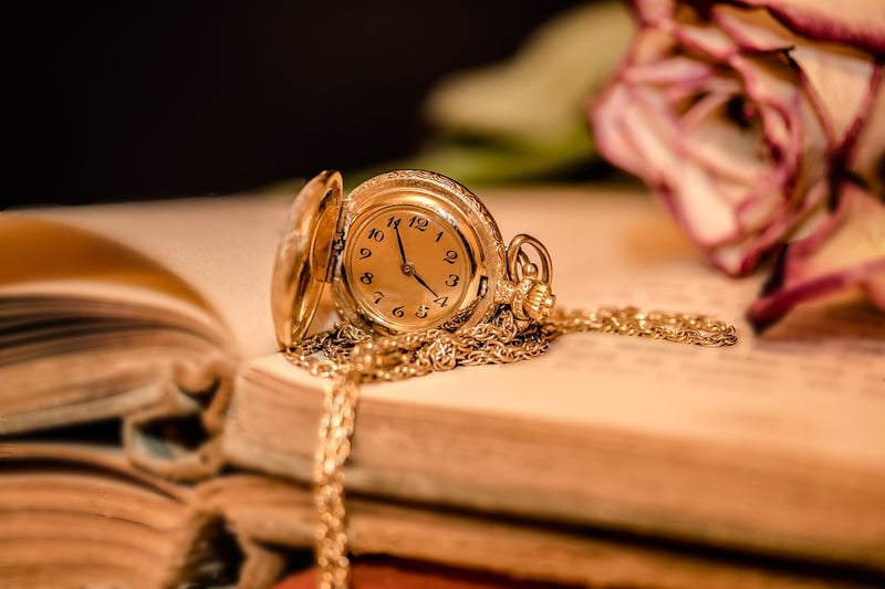 Time Traveler's Adventure